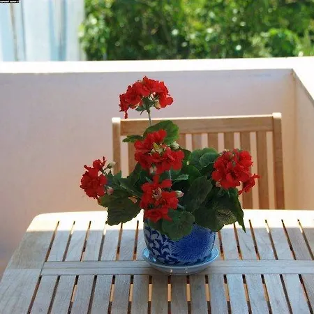 Hotel Grikos Patmos Town