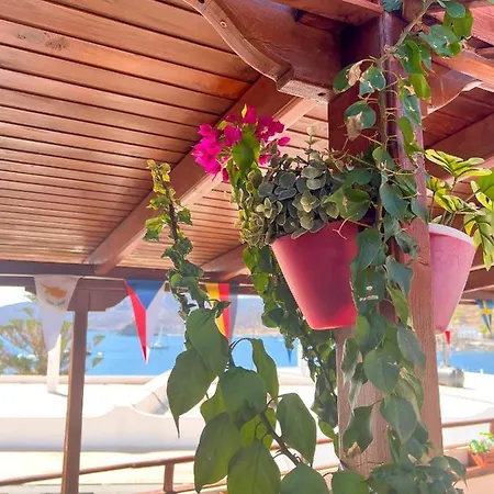 Hotel Grikos